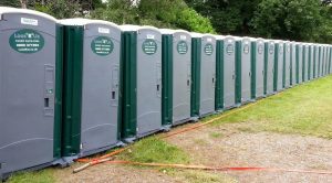 What loo is right for you