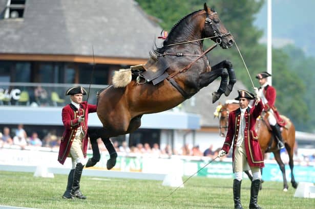 Monthly Event Spotlight - Agricultural Shows